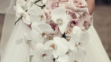 Photo of Τι συμβολίζει το κάθε λουλούδι ; Για να ξέρετε ποια να επιλέξετε για τη νυφική ανθοδέσμη και όχι μόνο.