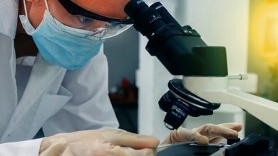 Photo of Παιδικός καρκίνος: Το 80% των παιδιών θεραπεύεται πλέον