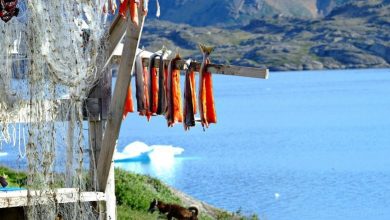 Photo of Tasiilaq: Ένα χωριουδάκι γεμάτο χρώμα στη Γροιλανδία (ΦΩΤΟ)