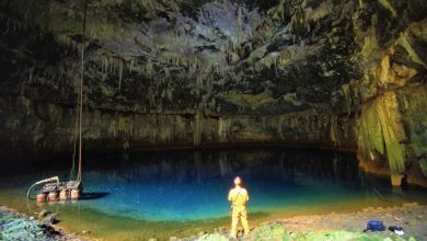 Photo of Εφορεία Αρχαιοτήτων Τρικάλων συμμετέχει στον εορτασμό της Διεθνούς Ημέρας Μουσείων