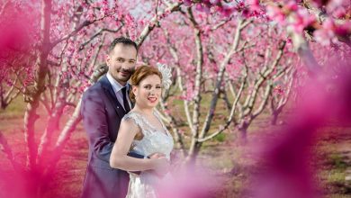 Photo of O ανθισμένος ροζ κάμπος της Ημαθίας έγινε μόδα στη γαμήλια φωτογράφρηση