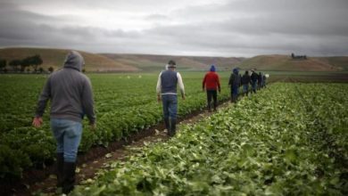 Photo of Κρατική αρωγή για επιχειρήσεις και αγροτοκτηνοτροφικές εκμεταλλεύσεις: Μέχρι τις 10 Νοεμβρίου οι αιτήσεις αποζημίωσης 