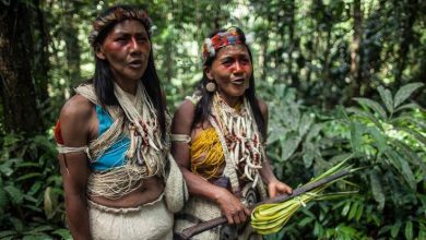 Photo of Ο πραγματικός Survivor: Πιλότος επέζησε συντριβής αεροσκάφους και περιπλανήθηκε στον Αμαζόνιο για 36 ημέρες