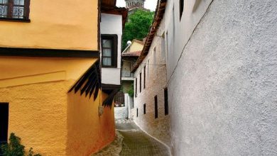 Photo of Πολιτιστική Απόδραση στην Θεσσαλονίκη από τον Π.Σ “ΤΟ ΒΑΡΟΥΣΙ”