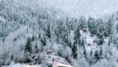 Photo of Καιρός: Νέο βαρομετρικό χαμηλό προ των πυλών – Έρχονται ισχυρά και έντονα φαινόμενα