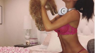 Photo of Ποινικές διώξεις αιρετών για αδέσποτα-  Η ΚΕΔΕ ζητά αλλαγή νόμου