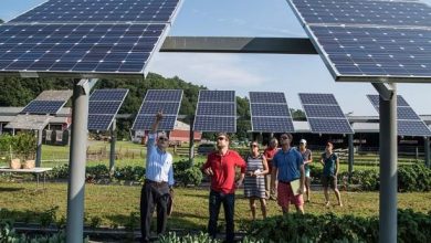 Photo of Φθηνό ρεύμα με αυτοπαραγωγή: 6 ερωτήσεις-απαντήσεις για τις επιλογές που έχουν νοικοκυριά και επιχειρήσεις