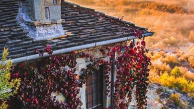 Photo of Φθινόπωρο. Η καλύτερη εποχή για φωτογραφίες στη φύση που αλλάζει χρώματα….