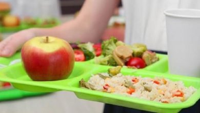 Photo of Back to School – Η εκδίκηση των τσαντών