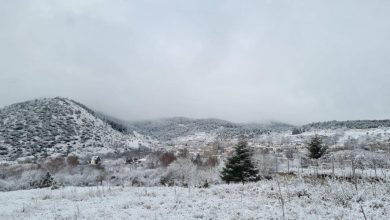 Photo of Έπεσαν τα πρώτα χιόνια στα ορεινά των Γρεβενών – Στα «λευκά» ντύθηκε η Βασιλίτσα