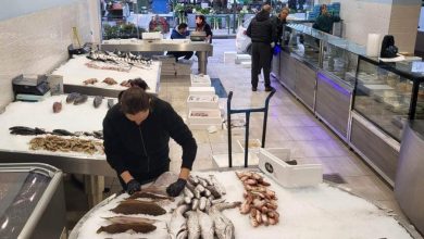 Photo of Δευτέρα και ξεκινάμε με ολόφρεσκα ψάρια στον Ξιφία!