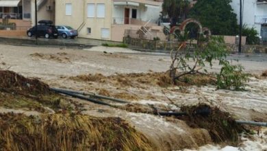 Photo of Τακούδης: Έρχεται μικρός Daniel σε Κίσαβο Πήλιο από Πέμπτη, μέχρι Κυριακή