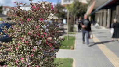 Photo of Αισθητή πτώση της θερμοκρασίας και ενισχυμένοι βοριάδες
