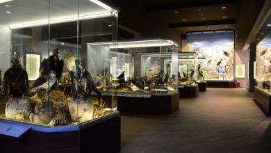 Photo of Θέσεις εργασίας για τον Μύλο των Ξωτικών