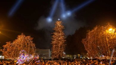 Photo of Φως και χαρά από το υψηλότερο φυσικό χριστουγεννιάτικο  δέντρο της Ελλάδας, στα Τρίκαλα (ΦΩΤΟ)