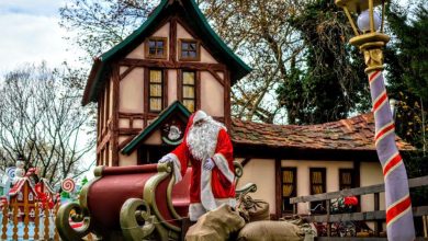 Photo of Γιώργος Χρυσόμαλλος : Με τη βοήθεια της Τεχνητής Νοημοσύνης σχεδιάζεται ο επόμενος Μύλος των Ξωτικών