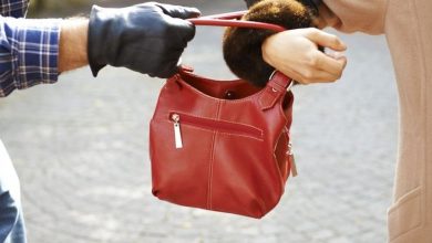 Photo of Fine Living Style -Το παρασκήνιο πίσω από τις τσάντες Hermès