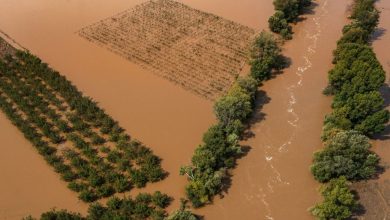 Photo of Κακοκαιρία Byron: Υπερχείλισε ο Ενιπέας – Μήνυμα του 112 για απομάκρυνση των κατοίκων της Υπέρειας