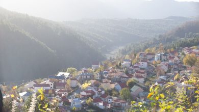 Photo of Στήριξη των νέων μητέρων στο Περιβόλι Γρεβενών από την Ελληνικά Γαλακτοκομεία