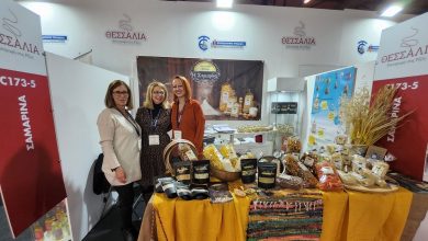 Photo of Το Επιμελητήριο Τρικάλων στην 10η ΕΞΠΟΤΡΟΦ προβάλλοντας τις επιχειρήσεις – μέλη του