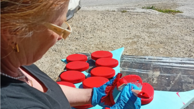 Photo of Καστανιά και Αγιόφυλλο προετοιμάζονται για το Πάσχα