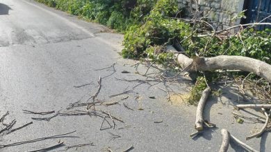 Photo of Καλαμπάκα: Πεσμένα δέντρα από τον δυνατό αέρα στην ε.ο Τρικάλων Γρεβενών