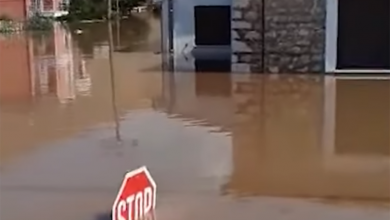 Photo of Κάλεσμα για συμβολικό κλείσιμο της Εθνικής Οδού Τρικάλων – Λάρισας την Παρασκευή