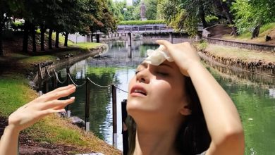 Photo of Μίνι καύσωνας κορυφώθηκε ανήμερα του Αγίου Πνεύματος στα Τρίκαλα με 38 βαθμούς