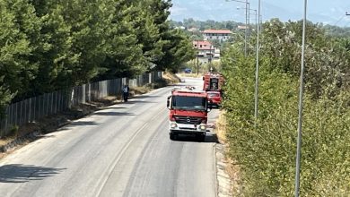 Photo of Αναστάτωση προκάλεσε φωτιά στη θέση “Μπίνεση” στη Βασιλική Καλαμπάκας