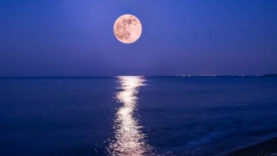 Photo of Το ημερολόγιο ενός θερμού καλοκαιριού…!