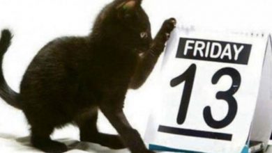 Photo of Παρασκευή και 13 εσείς είστε προληπτικοί ;