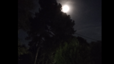 Photo of «Μαύρο Φεγγάρι»: Σήμερα το σπάνιο φαινόμενο με το απόλυτο σκοτάδι – Πότε θα φανεί το μαγικό «χαμόγελο» της σελήνης