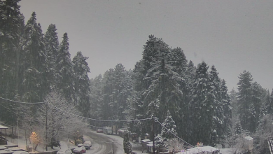 Photo of Κλείνουν τα σχολεία στις Δημοτικές Κοινότητες Ελάτης και Στουρναραίικων λόγω χιονιού