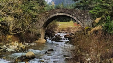 Photo of Κάλεσμα συμμετοχής στη δημόσια διαβούλευση για το Αιολικό Πάρκο στην Κρανιά