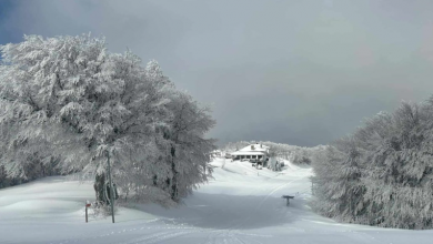 Photo of Νέα εποχή στο Περτούλι – Βρέθηκε ο “οικοδεσπότης” του σαλέ για τα επόμενα 25 χρόνια!