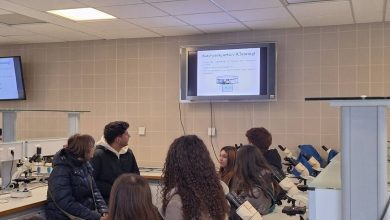 Photo of “Καλά θα πάει κι αυτό”: τέλος οι σχολικές επιτροπές, αρχίζει το σφίξιμο»