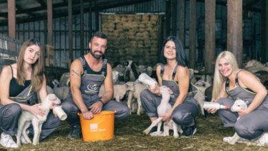 Photo of Παρασκήνιο με… οσμή φέτας και πολιτικής κόντρας