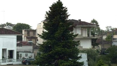 Photo of ΠΕ Τρικάλων:  Κόκκινη προειδοποίηση λόγω επικίνδυνων καιρικών φαινομένων