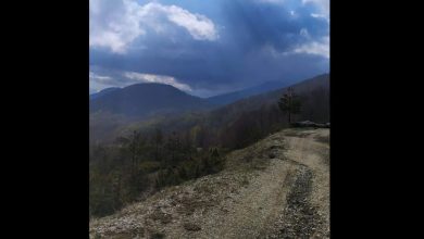 Photo of Τροχαίο ατύχημα στον Αμάραντο Καλαμπάκας – Όχημα εξετράπη της πορείας και προσέκρουσε σε δέντρο