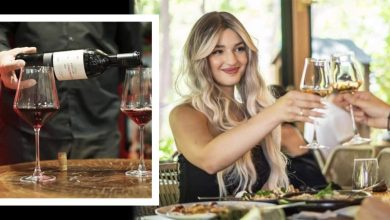 Photo of Τα ντελικάτα κρασιά του κτήματος Άλφα συναντούν τα γαστριμαγικά πιάτα του Πλάτανου