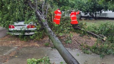 Photo of Μπουρίνι προκάλεσε ζημιές στα Τρίκαλα! Χαλάζι και πτώση δέντρων