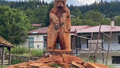 Photo of «Τέχνη και φύση συναντιούνται στην Κρανιά – Το νέο γλυπτό που προσελκύει επισκέπτες»