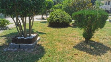 Photo of Δήμος Τρικκαίων: Καθαρισμοί και ευπρεπισμός σε “Γαλήνη” και “Τρίκκη”