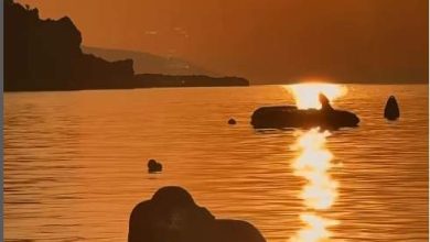 Photo of Ζέστη και την Τρίτη – Μποφόρ μέχρι το Σάββατο: Το «κοκτέιλ» που φέρνει «πορτοκαλί» συναγερμό για πυρκαγιές