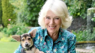 Photo of Η βασίλισσα Καμίλα στην Ελλάδα: Κρουαζιέρα, σε γιοτ Σαουδάραβα δισεκατομμυριούχου