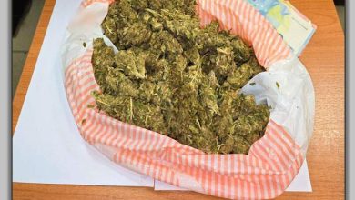 Photo of Συνελήφθησαν 3 άτομα στη Σκιάθο για παράβαση της νομοθεσίας περί ναρκωτικών