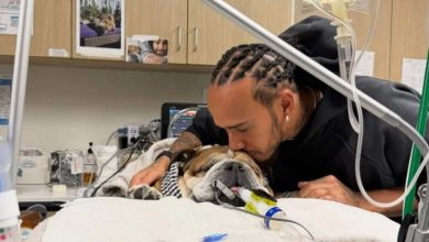 Photo of Ο σκύλος του Λιούις Χάμιλτον βρίσκεται σε κώμα – Το μήνυμα του επτάκις παγκόσμιου πρωταθλητή για τον Roscoe