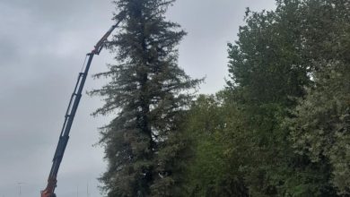 Photo of Το πιο λαμπρό αστέρι φωτίζει το δέντρο στην κεντρική πλατεία των Τρικάλων