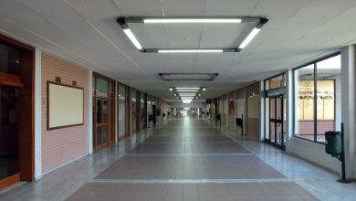 Photo of Δήμος Μετεώρων: Κλειστά τα σχολεία στις ΔΕ  Βασιλικής, Κλεινοβου, Μαλακασίου και Χασίων λόγω κακοκαιρίας