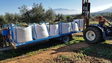 Photo of Ευχαριστήριο του Μορφωτικού Συλλόγου Αύρας – Πολύτιμη στήριξη από την Περιφέρεια Θεσσαλίας στη Γιορτή Λαδιού